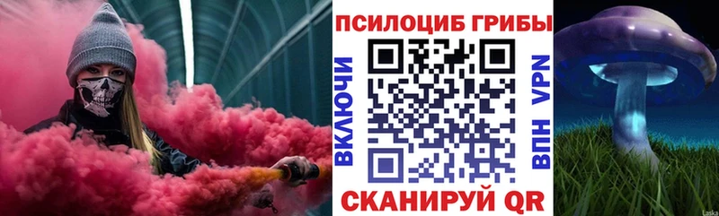 дарнет шоп omg как зайти Галлюциногенные грибы мухоморы Новотроицк