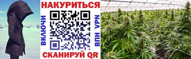 Каннабис Amnesia  где продают   Новотроицк 